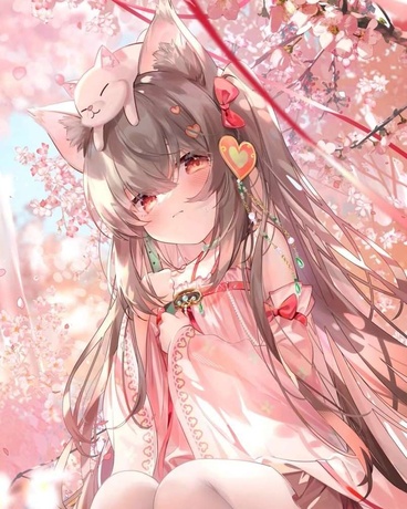 病弱少女怎么可能沦为团宠？
