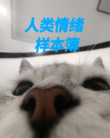 人类情绪样本簿