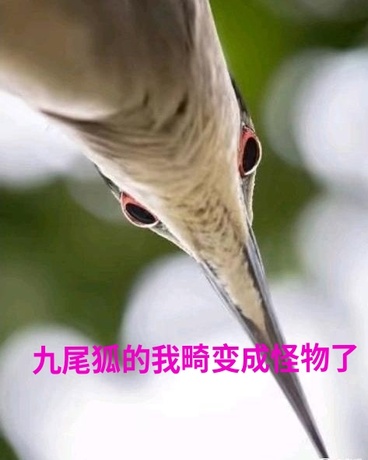 九尾狐的我变成怪物了