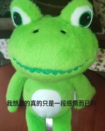 我想要的真的只是一段感情而已啊