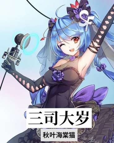 三司大岁
