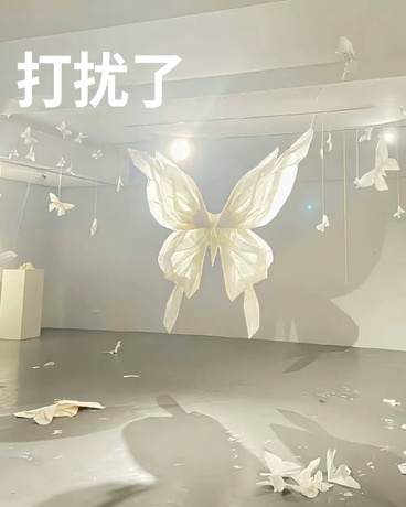 打扰了