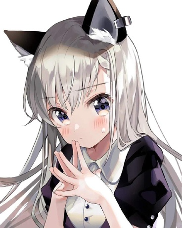 我真没想要兽耳娘！