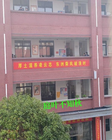 庭叶