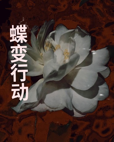 蝶变行动