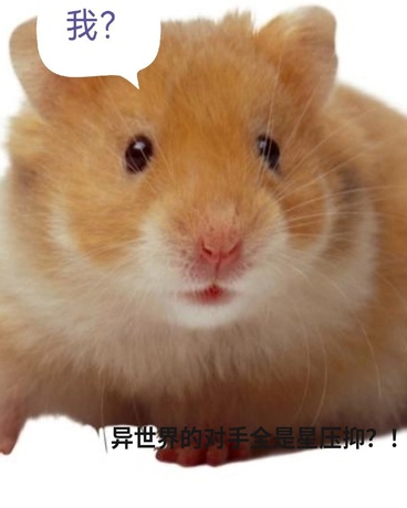 咕咕咕！！