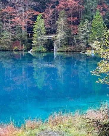 蓝湖