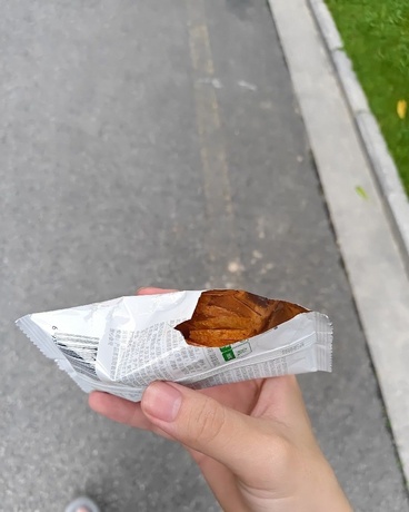 雾蒙