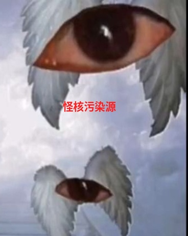 怪核污染源