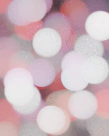 千岁被我训成狗，夜夜缠吻求我宠