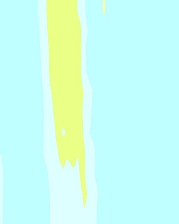 一日美梦