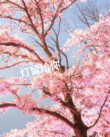 灯留给你