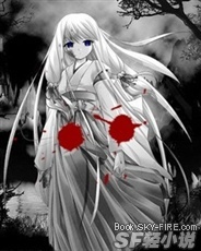 黑羽的妖精之城