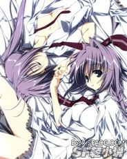 姐姐大人的后宫(坑！)