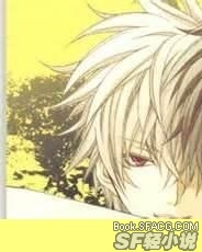 西沉之時《系列》