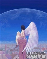 天空的花与世界的眼泪