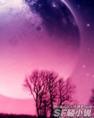 紫夜苍轩