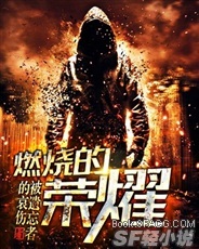 燃烧的荣耀之黑焱狂语