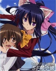 带着愿望的第九条尾巴