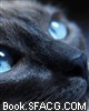 我和猫