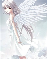 我的萝莉女友是神明