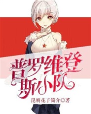 少女前线之普罗维登斯小队