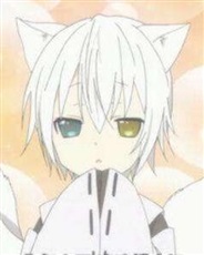 宠物吗我不承认