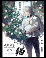 我的老婆是只猫