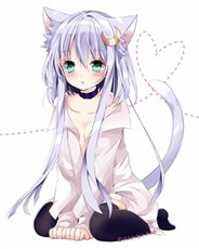 成为猫娘有什么好处