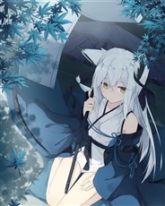 海贼王之妖狐剑神系统