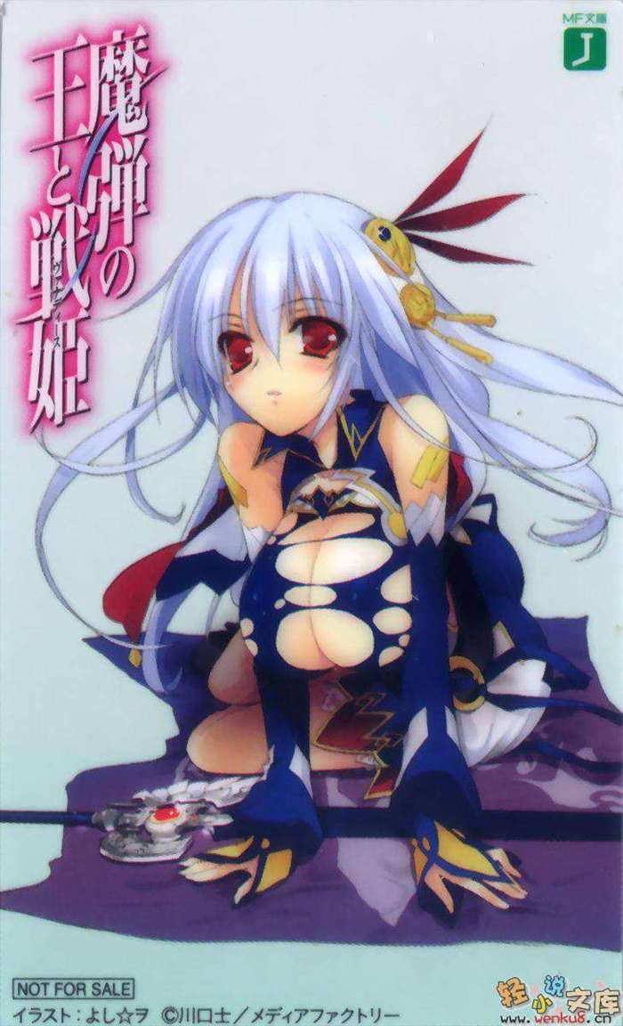 魔弹之王与战姬