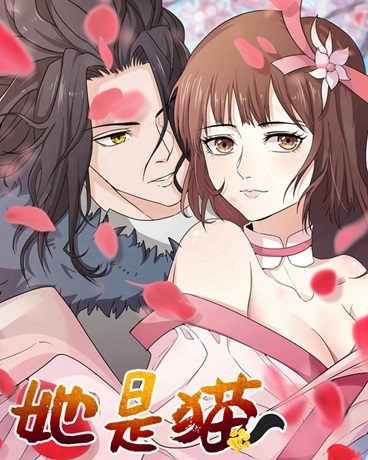 她是猫
