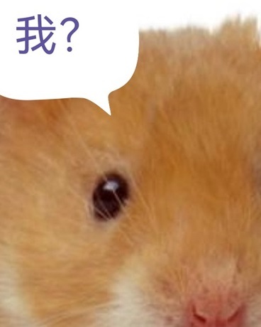勇者的对手们是否搞错了什么？