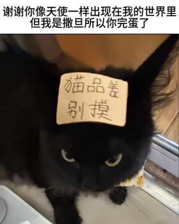 幻法潜踪